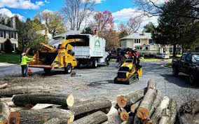 Best Utility Line Clearance  in Monroe, OH